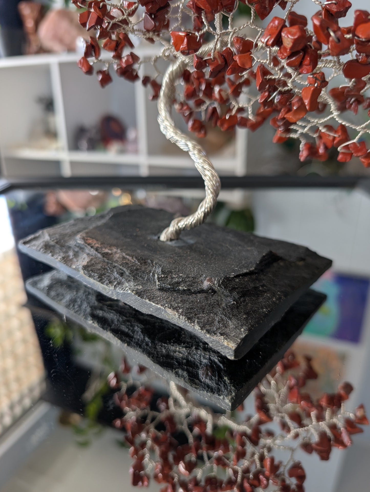 The "Root" of The Tree