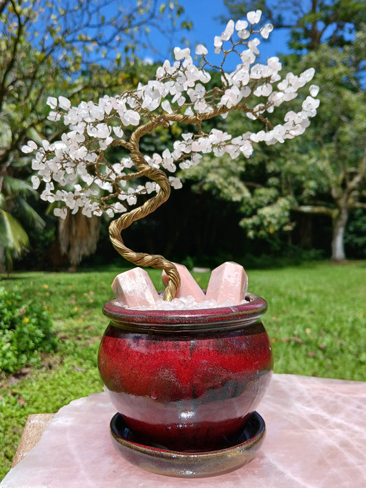 Heart Healing Cherry Blossom Tree