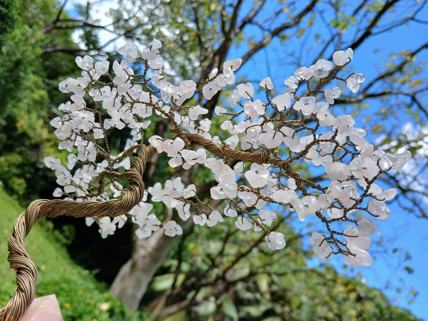 Heart Healing Cherry Blossom Tree