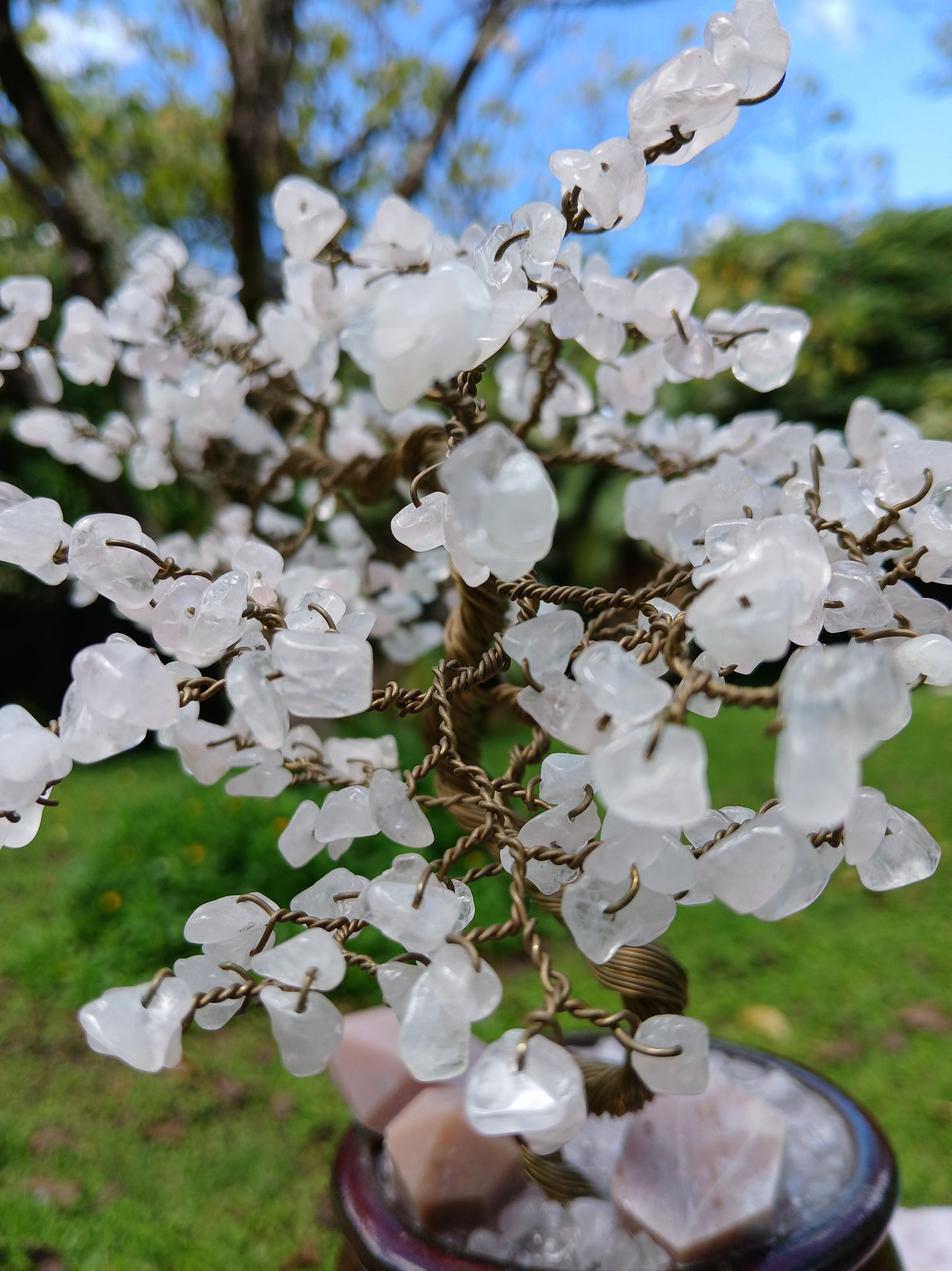 Heart Healing Cherry Blossom Tree