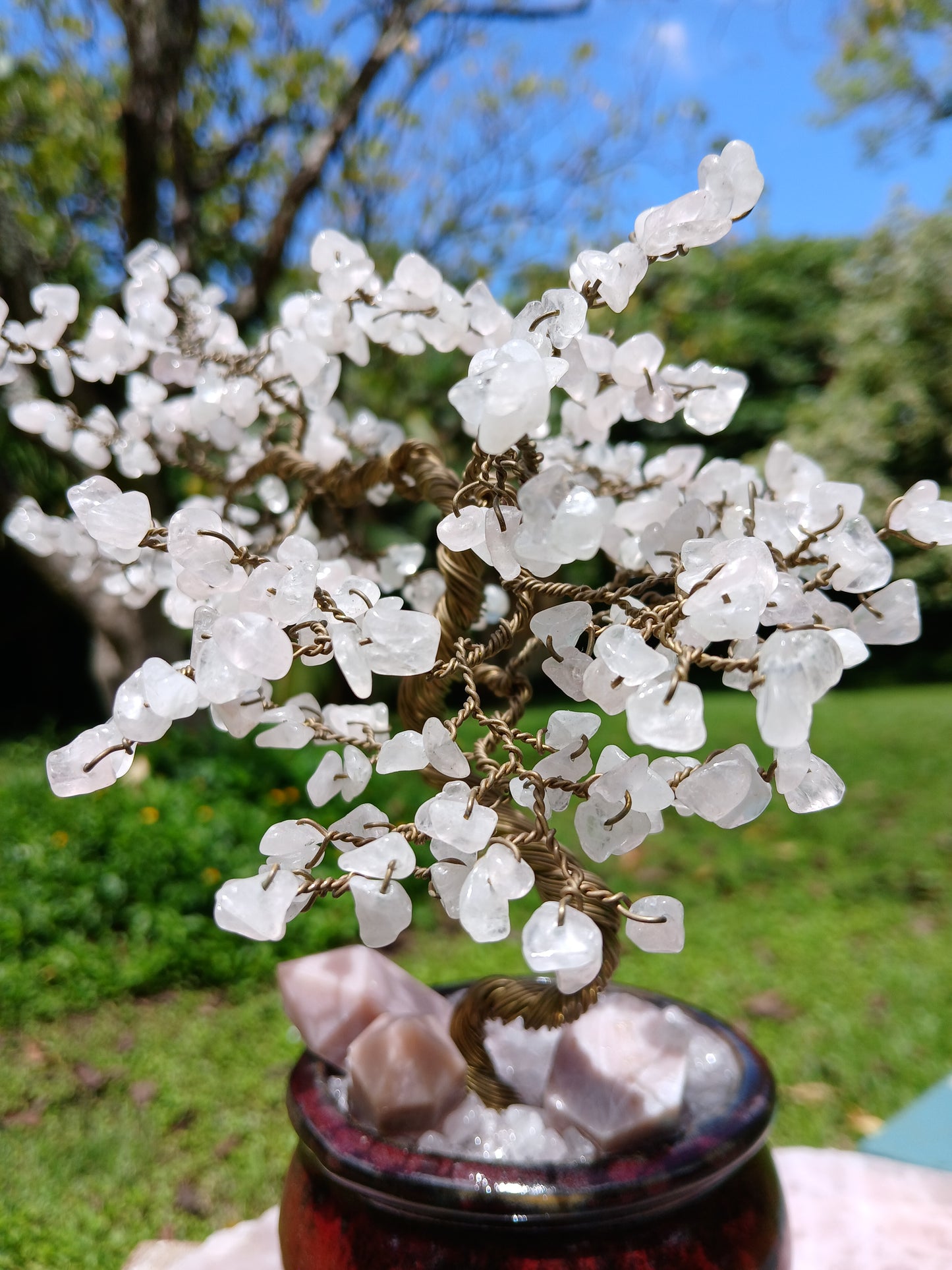 Heart Healing Cherry Blossom Tree