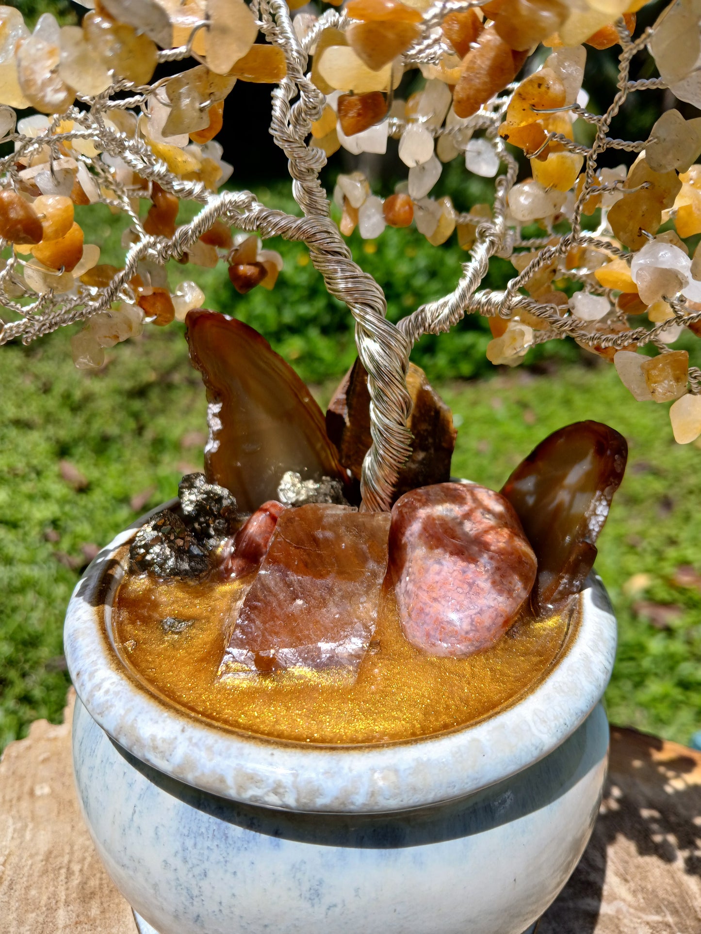 Abundance Honey Pot Tree