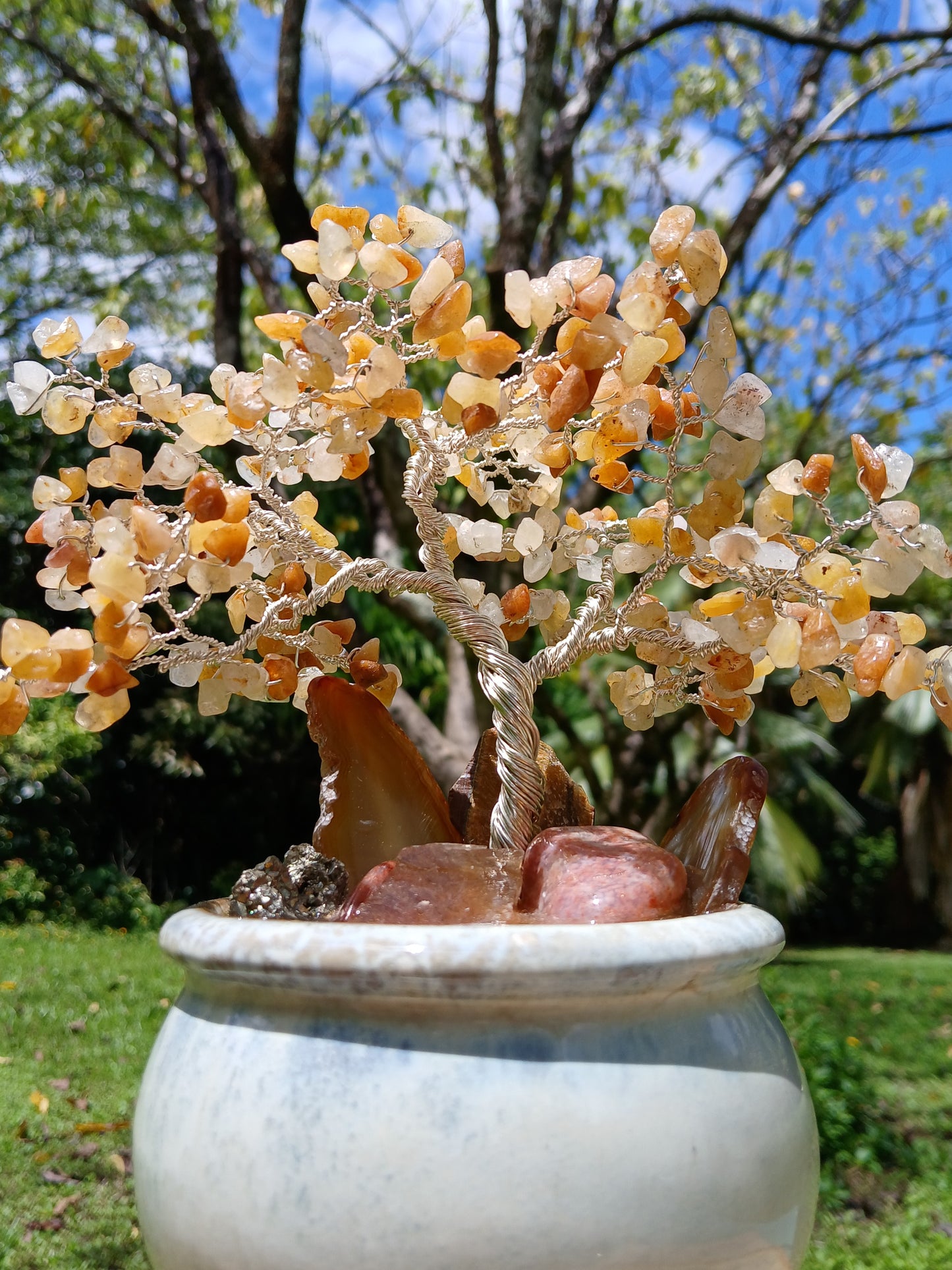 Abundance Honey Pot Tree