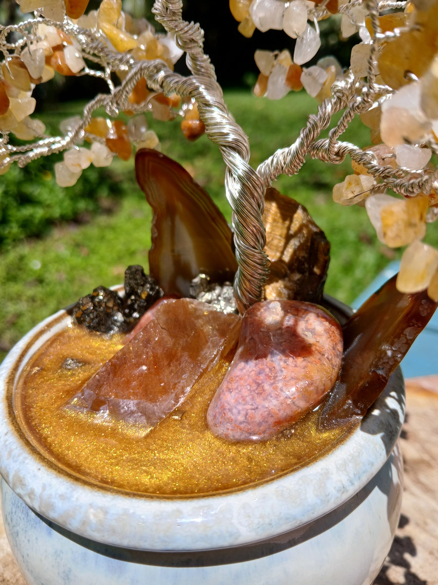 Abundance Honey Pot Tree