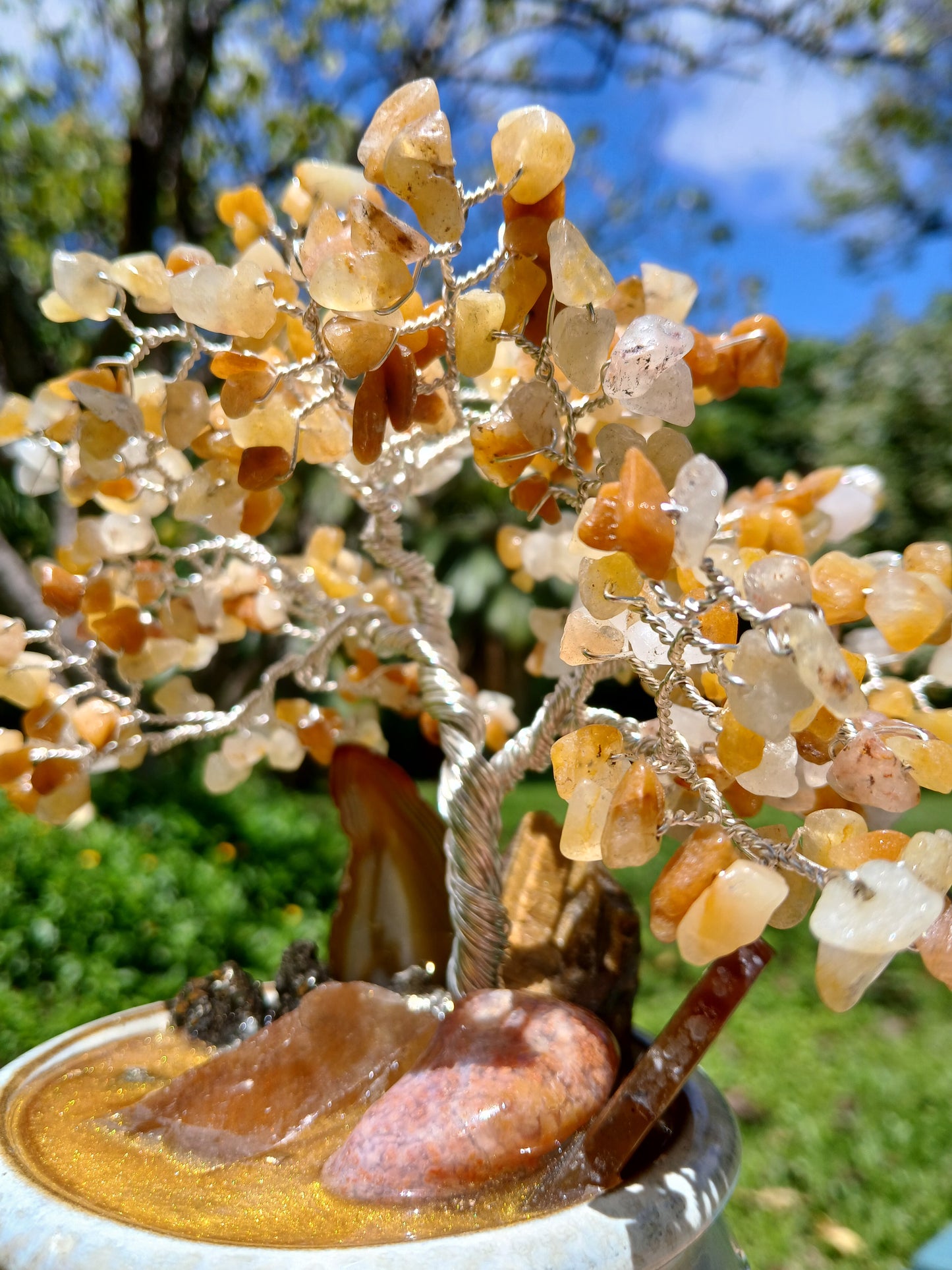 Abundance Honey Pot Tree