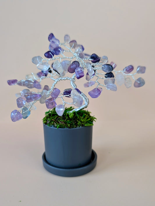 Tree of Fluorite